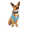 EveryYay Arnés Confort Ajuste Romano Color Turquesa para Perro, Chico EveryYay Arnés Confort Ajuste Romano Color Turquesa para Perro, Chico