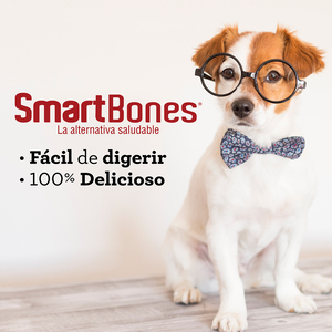 SmartBones Premios Masticables Naturales con Forma de Sticks Receta Mantequilla de Maní para Perro, 5 Piezas