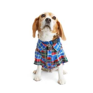 Youly Camisa de Cuadros para Perro, Grande Youly Camisa de Cuadros para Perro, Grande