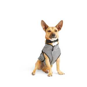 Youly Chaleco de Cuadros Negros para Perro, Chico Youly Chaleco de Cuadros Negros para Perro, Chico