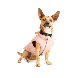 Youly Chaleco Rosa con Moñito para Perro, Grande Youly Chaleco Rosa con Moñito para Perro, Grande