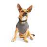 Reddy Suéter Gris con Diseño De Camuflaje para Perro, XX-Grande Reddy Suéter Gris con Diseño De Camuflaje para Perro, XX-Grande