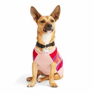 Youly Suéter Color Rosa con Morado Estilo Rayado para Perro, XX-Grande Youly Suéter Color Rosa con Morado Estilo Rayado para Perro, XX-Grande