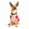 Youly Suéter Color Rosa con Morado Estilo Rayado para Perro, XX-Grande Youly Suéter Color Rosa con Morado Estilo Rayado para Perro, XX-Grande
