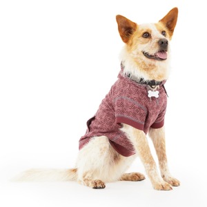 Reddy Sudadera Color Vino con Capucha para Perro, XX-Grande Reddy Sudadera Color Vino con Capucha para Perro, XX-Grande