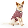 Reddy Sudadera Color Vino con Capucha para Perro, XX-Grande Reddy Sudadera Color Vino con Capucha para Perro, XX-Grande