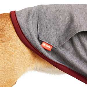 Reddy Sudadera Calmante con Capucha para Perro, Mediano