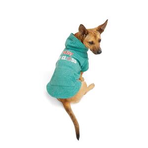 Youly Sudadera Color Verde Estilo Best In Class para Perro, Mediano Youly Sudadera Color Verde Estilo Best In Class para Perro, Mediano