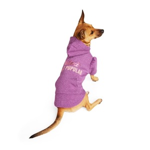 Youly Sudadera Color Morado Estilo Most para Perro, X-Grande Youly Sudadera Color Morado Estilo Most para Perro, X-Grande