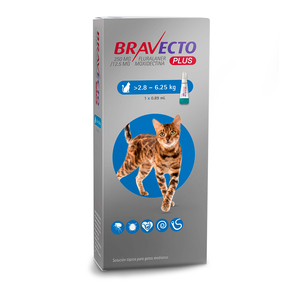 Bravecto Plus Pipeta Desparasitante Externa e Interna para Gato, 250 mg Bravecto Plus Pipeta Desparasitante Externa e Interna para Gato, 250 mg
