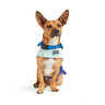 Youly Winter Capa Azul para Perro, XX-Grande/XXX-Grande Youly Winter Capa Azul para Perro, XX-Grande/XXX-Grande