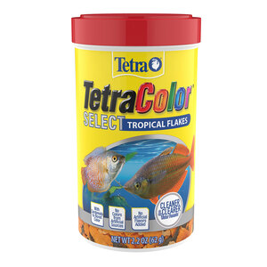 Tetra Select Color Tropical Alimento para Peces Tropicales, 62 g Tetra Select Color Tropical Alimento para Peces Tropicales, 62 g