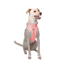 Petspaces Arnés Monocromático Color Rosa para Perro, Chico Petspaces Arnés Monocromático Color Rosa para Perro, Chico