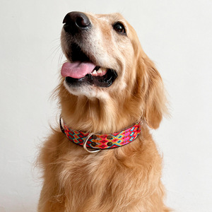 B&Kolor Collar de Piel Ancho Diseño Tejido Artesanal Color Rosa con Hebilla para Perro, Grande