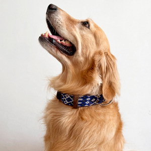 B&Kolor Collar de Piel Ancho Diseño Tejido Artesanal Color Azul con Hebilla para Perro, Grande