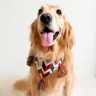 B&Kolor Bandana Artesanal Diseño Zig-Zag con Pompón para Perro, Grande B&Kolor Bandana Artesanal Diseño Zig-Zag con Pompón para Perro, Grande
