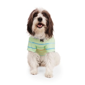 Youly Spring Playera Básica con Rayas Color Verde, X-Chico Youly Spring Playera Básica con Rayas Color Verde, X-Chico
