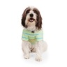 Youly Spring Playera Básica con Rayas Color Verde, X-Chico Youly Spring Playera Básica con Rayas Color Verde, X-Chico