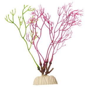 Glofish Decoración Alga Roja para Peces, Chica Glofish Decoración Alga Roja para Peces, Chica
