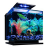 Glofish Acuario Glo Kit para Betta, 11.3 L Glofish Acuario Glo Kit para Betta, 11.3 L