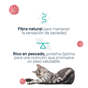 Canidae Goodness for Indoor Alimento Seco para Gato Adulto de Interior Receta Pescado Blanco, 4.5 kg