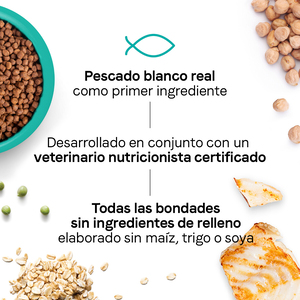 Canidae Goodness for Indoor Alimento Seco para Gato Adulto de Interior Receta Pescado Blanco, 4.5 kg