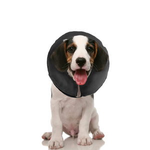 ZenPet ZenCollar Collar Isabelino Inflable para Perro, Chico