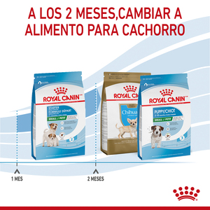 Royal Canin Small Starter Mother & BabyDog Alimento Seco para Gestación/ Lactancia o Destete para Perro, 1.14 kg