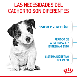 Royal Canin Alimento Seco para Cachorro Raza Pequeña Receta Pollo, 5.9 kg