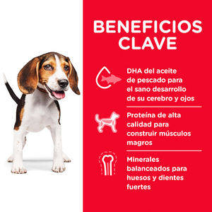 Hill's Science Diet Puppy Alimento Seco para Cachorro Raza Mediana Receta Pollo, 12.5 kg