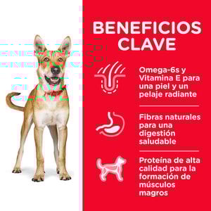 Hill's Science Diet Small Bites Alimento para Perro Adulto Raza Pequeña Receta Pollo, 6.8 kg