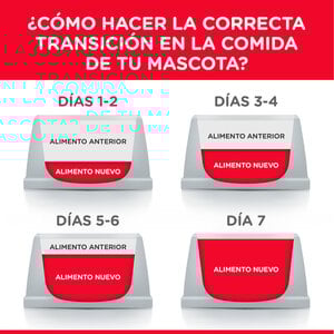 Hill's Science Diet Small Bites Alimento para Perro Adulto Raza Pequeña Receta Pollo, 6.8 kg