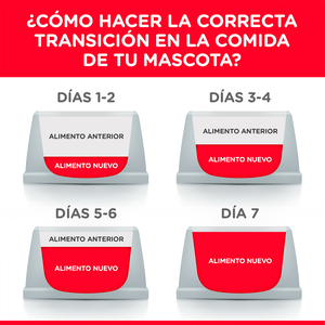 Hill's Science Diet 7+ Indoor Alimento Seco para Gato Senior de Interior Receta Pollo, 3.2 kg