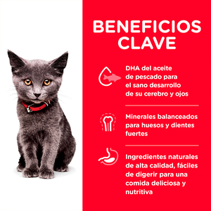 Hill's Science Diet Kitten Indoor Alimento Seco para Gatito de Interior Receta Pollo, 3.2 kg