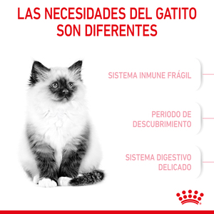 Royal Canin Kitten Alimento Seco para Gatito Receta Pollo, 3.1 kg
