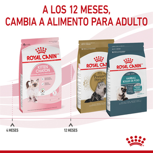 Royal Canin Kitten Alimento Seco para Gatito Receta Pollo, 3.1 kg