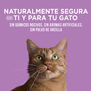 World's Best Lavender Scent Arena Natural Aglutinante Fragancia de Lavanda para Hogares Multigato, 12.7 kg