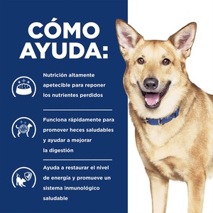 Hill's Prescription Diet i/d Alimento Húmedo Cuidado Digestivo para Perro Adulto Receta Pollo en Estofado, 354 g