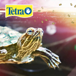 Tetra Reptomin Alimento para Tortuga Adulta, 230 g