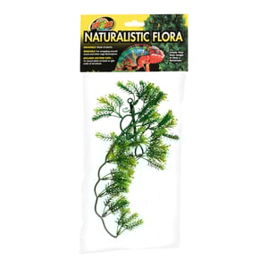 Zoo Med Natural Bush Planta Estrella de Borneo de Decoración para Terrario, Chica Zoo Med Natural Bush Planta Estrella de Borneo de Decoración para Terrario, Chica
