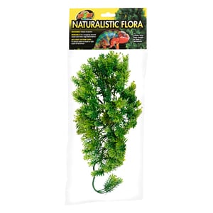 Zoo Med Natural Bush Planta Estrella de Borneo de Decoración para Terrario, Mediana Zoo Med Natural Bush Planta Estrella de Borneo de Decoración para Terrario, Mediana