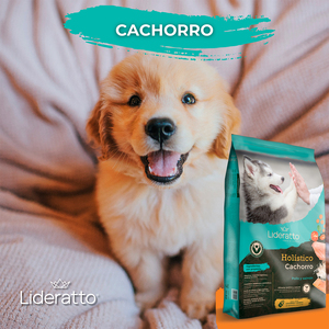 Lideratto Alimento Natural para Cachorro Raza Mediana / Grande Receta Pollo y Salmón, 15 kg