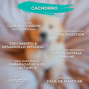 Lideratto Alimento Natural para Cachorro Raza Mediana / Grande Receta Pollo y Salmón, 15 kg