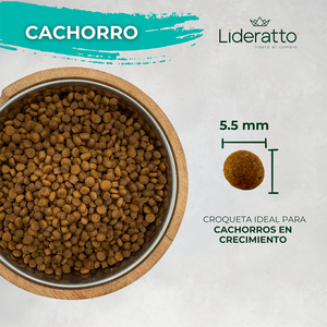 Lideratto Alimento Natural para Cachorro Raza Mediana / Grande Receta Pollo y Salmón, 15 kg