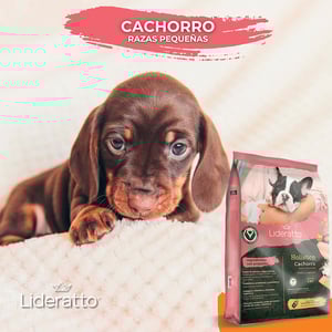 Lideratto Alimento Natural para Cachorro Raza Pequeña Receta Pollo y Salmón, 8 kg