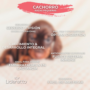 Lideratto Alimento Natural para Cachorro Raza Pequeña Receta Pollo y Salmón, 8 kg
