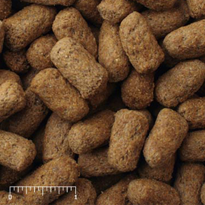 Mazuri Tortoise Diet Alimento en Pellet para Tortuga, 600 g