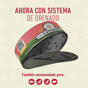 Un Dos Treats Catgrass Kit de Germinación para Pasto de Trigo para Gato