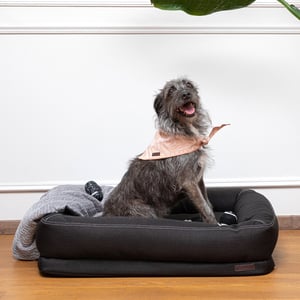 Reddy Cama Rectangular Resistente con Bordes Elevados Color Negro para Perro, Mediano Reddy Cama Rectangular Resistente con Bordes Elevados Color Negro para Perro, Mediano