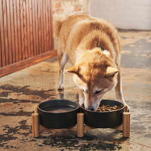 Reddy Comedero Elevado Doble de Cerámica Negro con Base de Bambú para Perro, 3.5 Tazas